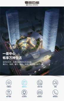 APP网站开发