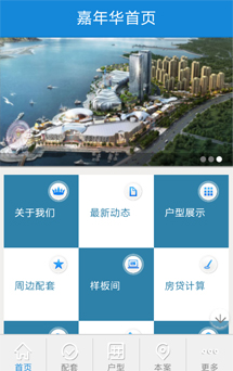 APP网站开发