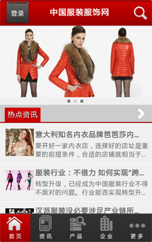 APP网站开发